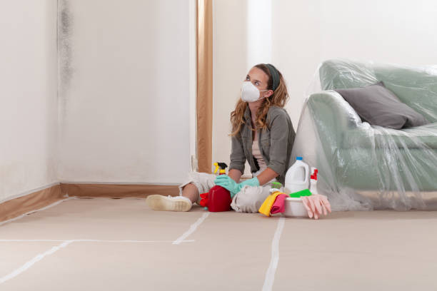 Reliable Black Mold Removal contractor in Edgewood, FL by WQB Mold Removal